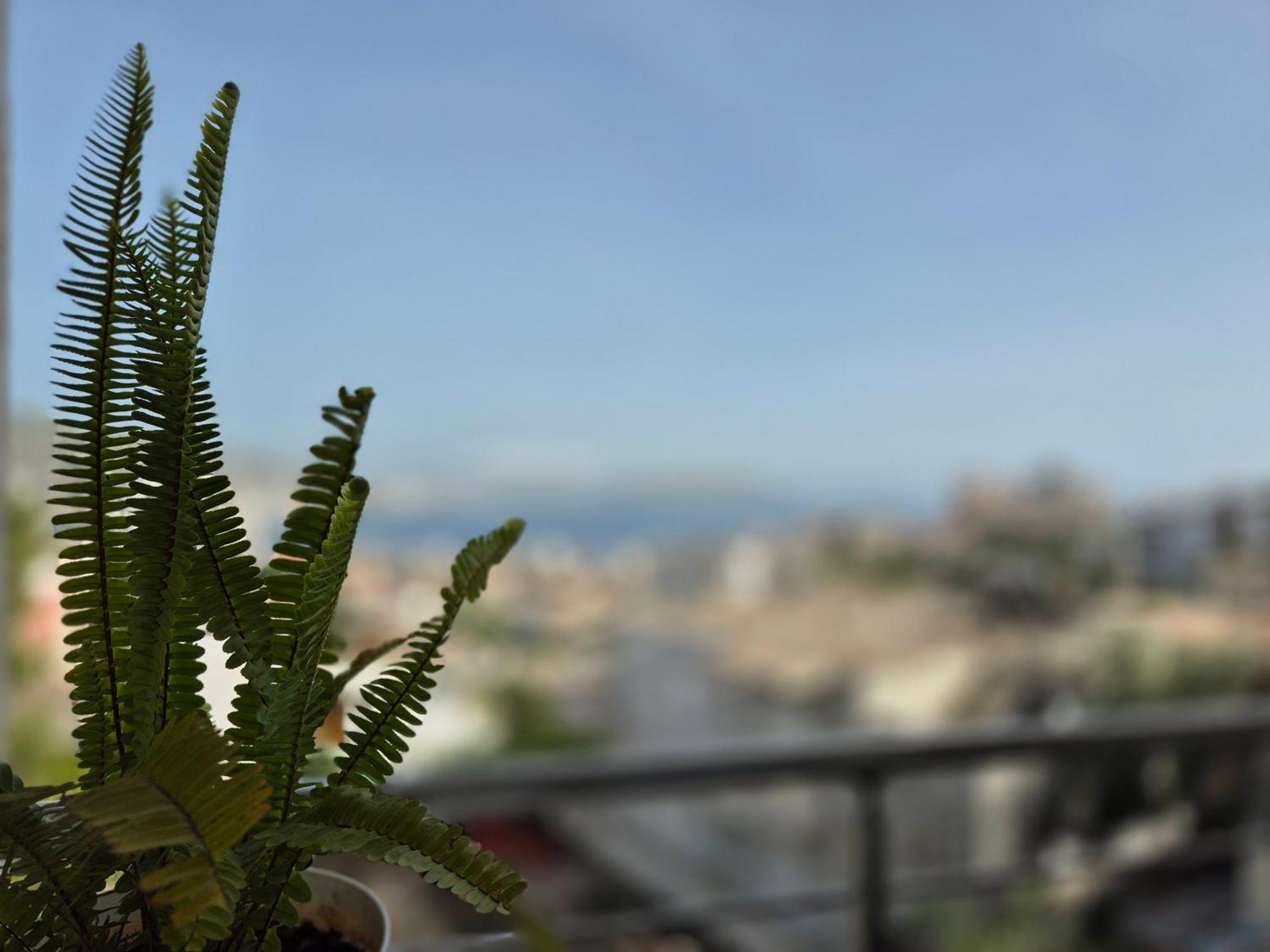 Vila Roxhest Sarandë Exterior foto